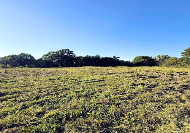 Photo 4 of Land for sale at 8001 Cainsville Road, Lebanon, TN 37090 | MLS# 3526893 | Listing updated on 2026-09-08