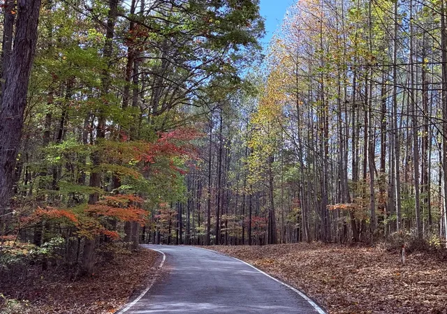 Photo 4 of Land for sale at 0 Rocky Lane, Spencer, TN 38585 | MLS# 3526759 | Listing updated on 2026-08-27