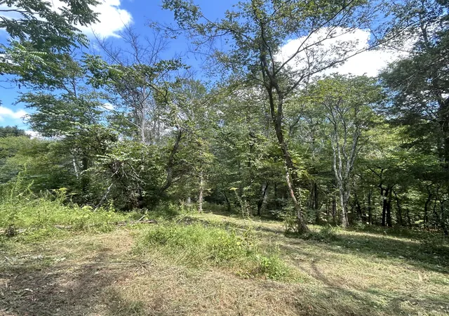 Photo 2 of Land for sale at 0 Boston Theta Rd, Columbia, TN 38401 | MLS# 3527108 | Listing updated on 2026-08-28