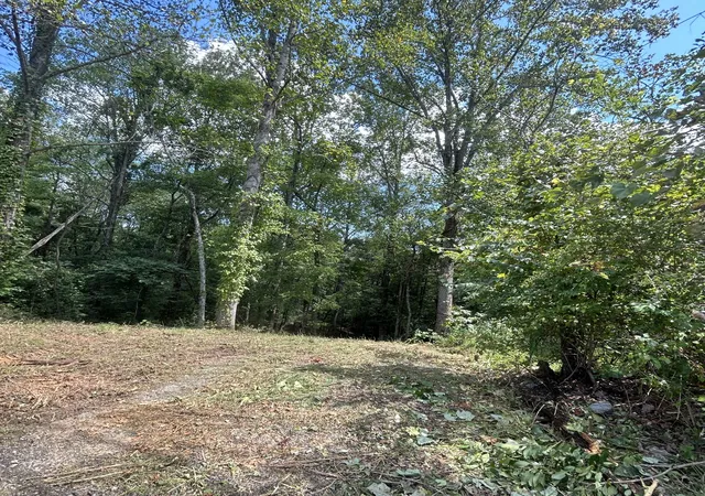 Photo 2 of Land for sale at 0 Boston Theta Rd, Columbia, TN 38401 | MLS# 3527108 | Listing updated on 2026-08-28