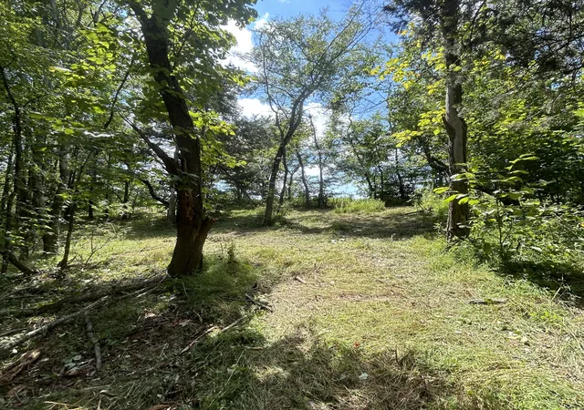 Photo 3 of Land for sale at 0 Boston Theta Rd, Columbia, TN 38401 | MLS# 3527108 | Listing updated on 2026-08-28