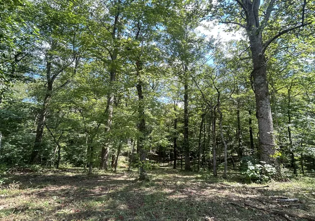 Photo 4 of Land for sale at 0 Boston Theta Rd, Columbia, TN 38401 | MLS# 3527108 | Listing updated on 2026-08-28