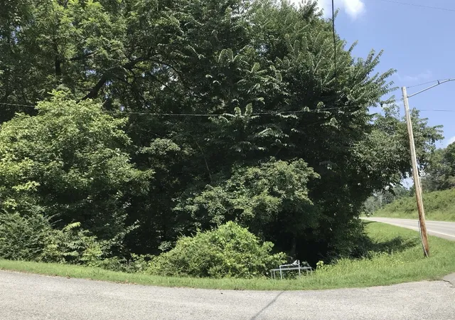 Photo 3 of Land for sale at 0 Hazel, Centerville, TN 37033 | MLS# 3527115 | Listing updated on 2026-09-22