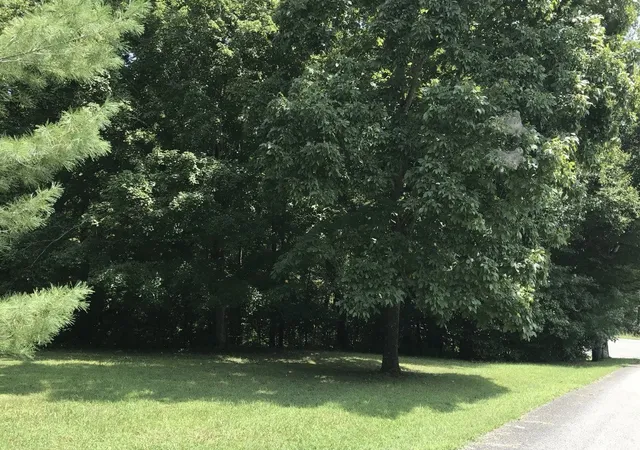 Photo 4 of Land for sale at 0 Hazel, Centerville, TN 37033 | MLS# 3527115 | Listing updated on 2026-09-22