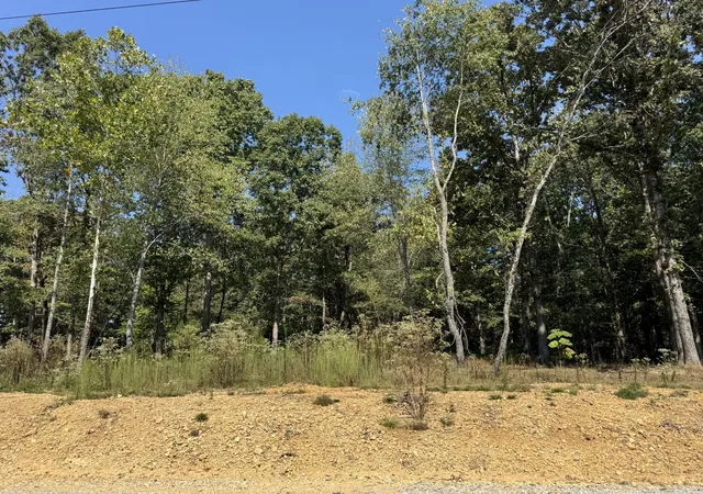 Photo 3 of Land for sale at 0 Longwood Ct, Mc Ewen, TN 37101 | MLS# 3541912 | Listing updated on 2026-09-17