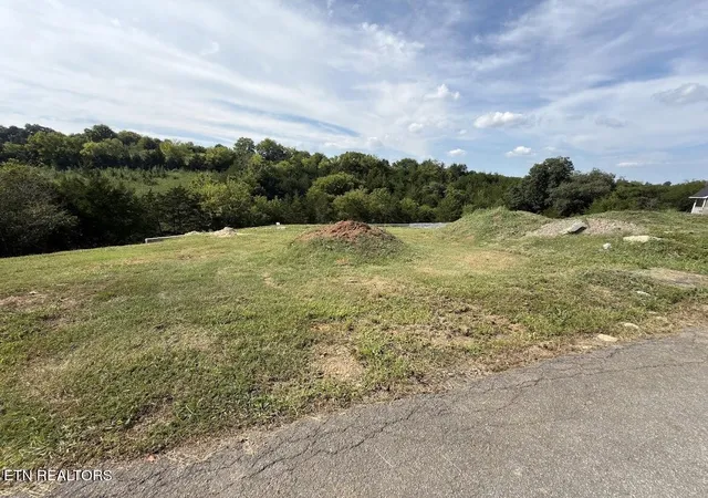 Photo 4 of Land for sale at 20 Ally Ln, Sevierville, TN 37876 | MLS# 3609781 | Listing updated on 2026-10-06