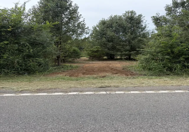 Photo 3 of Land for sale at 0 Hwy 11 S, Riceville, TN 37370 | MLS# 3527361 | Listing updated on 2026-10-02