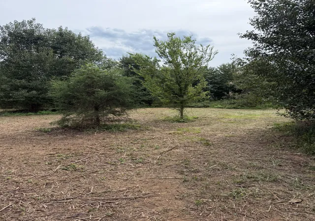 Photo 3 of Land for sale at 0 Hwy 11 S, Riceville, TN 37370 | MLS# 3527361 | Listing updated on 2026-10-02