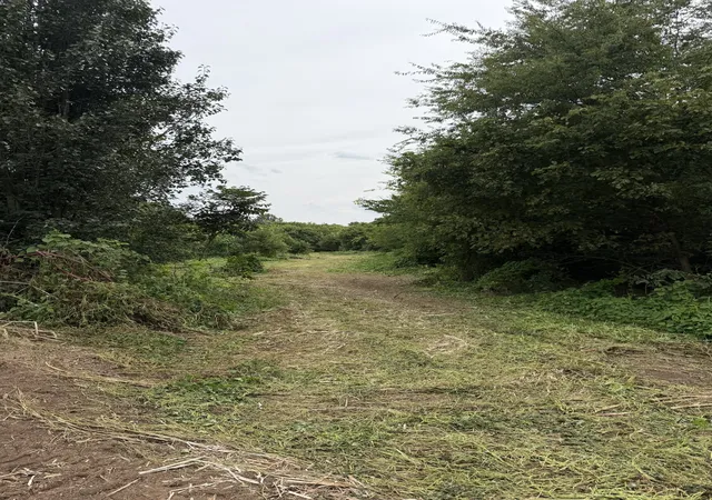 Photo 4 of Land for sale at 0 Hwy 11 S, Riceville, TN 37370 | MLS# 3527361 | Listing updated on 2026-10-02