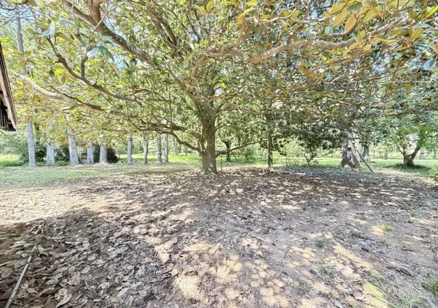 24th image of 242 Main St, Huntland, TN 37345 | MLS# 3526748