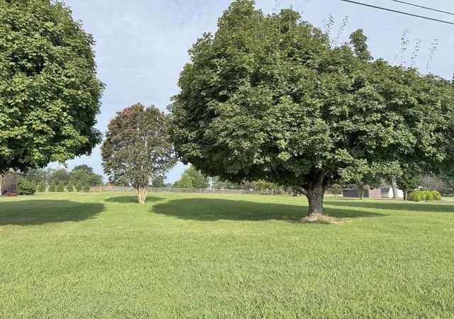 Photo 3 of Land for sale at 0 Tuckers Gap Road, Lebanon, TN 37090 | MLS# 3527724 | Listing updated on 2026-08-28