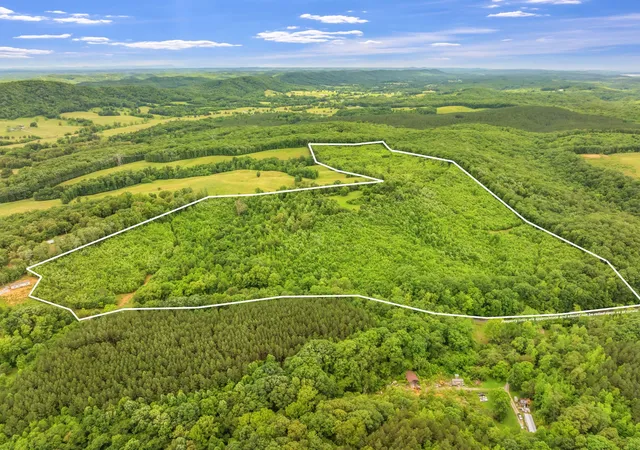 Photo 3 of Land for sale at 0 Grigsby Hollow Rd, Kingston, TN 37763 | MLS# 3526920 | Listing updated on 2026-08-30