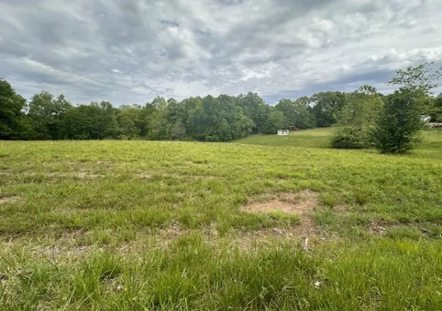 Photo 11 of Land for sale at 0 Old Hwy 79, Dover, TN 37058 | MLS# 3528997 | Listing updated on 2026-09-02