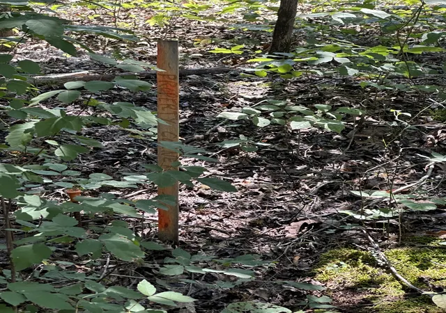 Photo 4 of Land for sale at 1 Gum Puckett Rd, Murfreesboro, TN 37127 | MLS# 3528044 | Listing updated on 2026-08-28