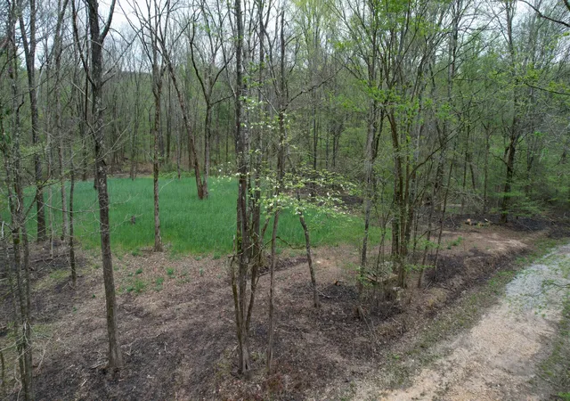 Photo 1 of Land for sale at 4424 Lane Spring Rd, Cherokee, AL 35616 | MLS# 3527099 | Listing updated on 2026-08-26