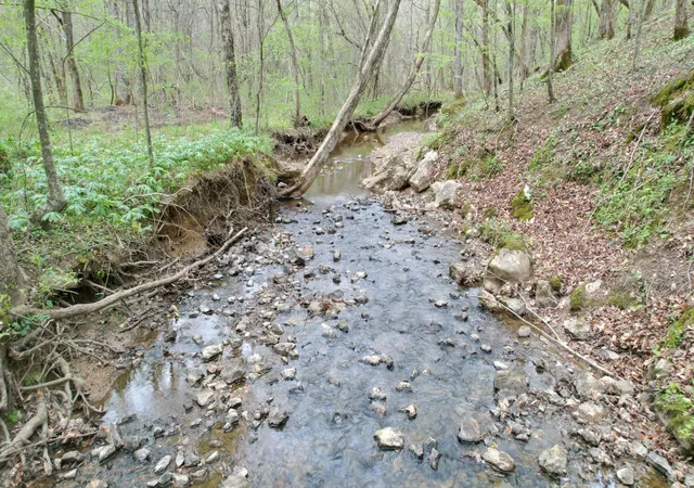 Photo 2 of Land for sale at 4424 Lane Spring Rd, Cherokee, AL 35616 | MLS# 3527099 | Listing updated on 2026-08-26