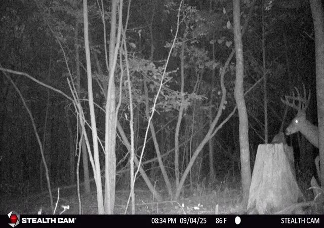 Photo 3 of Land for sale at 4424 Lane Spring Rd, Cherokee, AL 35616 | MLS# 3527099 | Listing updated on 2026-08-26