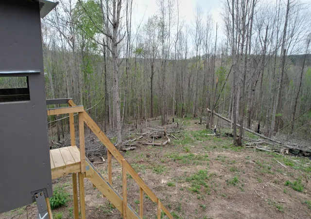 Photo 3 of House for sale at 4424 Lane Spring Rd, Cherokee, AL 35616 | MLS# 3527099 | Listing updated on 2026-08-26