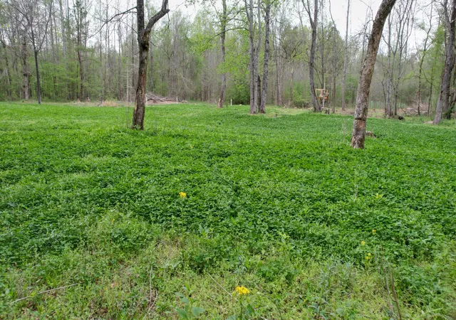 Photo 4 of House for sale at 4424 Lane Spring Rd, Cherokee, AL 35616 | MLS# 3527099 | Listing updated on 2026-08-26