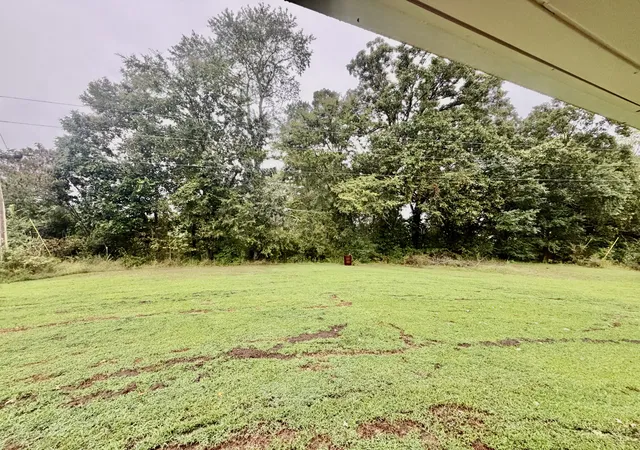 Photo 3 of Single family home for sale at 31861 County Road 8, Florence, AL 35634 | MLS# 3527265 | Listing updated on 2026-09-29