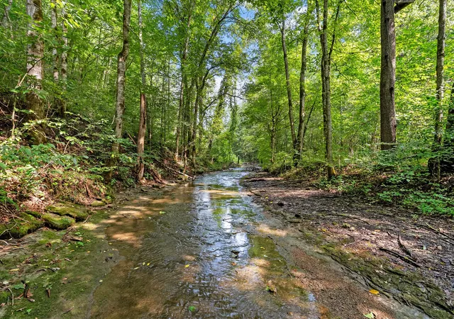 Photo 1 of Land for sale at 599 Jake Rockwell Rd, Celina, TN 38551 | MLS# 3527252 | Listing updated on 2026-08-27