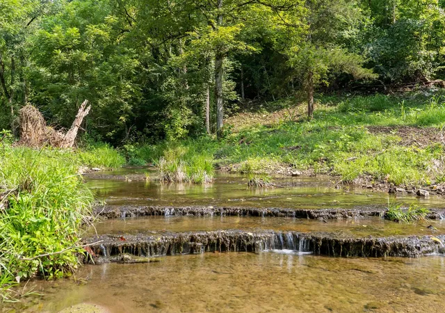 Photo 3 of Land for sale at 599 Jake Rockwell Rd, Celina, TN 38551 | MLS# 3527252 | Listing updated on 2026-08-27