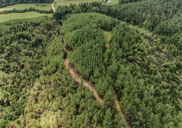 Photo 3 of Land for sale at 0 Big Opossum Rd, Waynesboro, TN 38485 | MLS# 3527244 | Listing updated on 2026-08-26