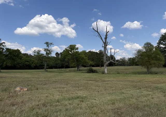 Photo 2 of Land for sale at 0 Midland Fosterville Rd, Bell Buckle, TN 37020 | MLS# 3529965 | Listing updated on 2026-09-01