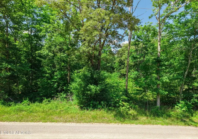 Photo 3 of House for sale at 246 Perkins Tr, Deer Lodge, TN 37726 | MLS# 3527314 | Listing updated on 2026-08-27