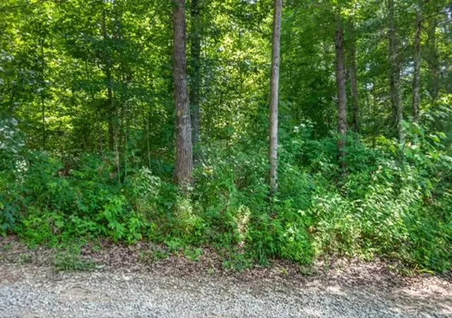 Photo 2 of Land for sale at 0 Eagle Lane, Sparta, TN 38583 | MLS# 3527390 | Listing updated on 2026-08-27