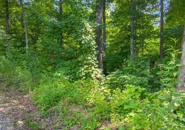 Photo 4 of Land for sale at 0 Eagle Lane, Sparta, TN 38583 | MLS# 3527390 | Listing updated on 2026-08-27