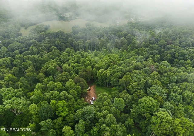 Photo 3 of Land for sale at 16 Ml Springs Rd, New Market, TN 37820 | MLS# 3536075 | Listing updated on 2026-09-03