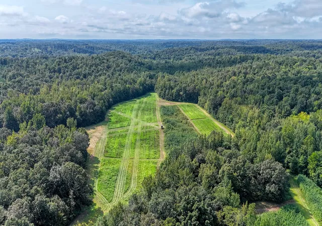 Photo 1 of Land for sale at 5650 Sulphur Crk Rd, Big Sandy, TN 38221 | MLS# 3529753 | Listing updated on 2026-09-02