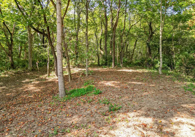 Photo 2 of Land for sale at 0 Old Hwy 7, Columbia, TN 38401 | MLS# 3527655 | Listing updated on 2026-08-27