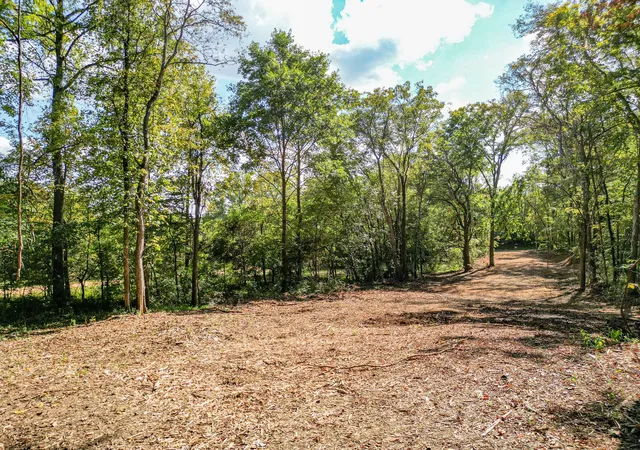 Photo 3 of Land for sale at 0 Old Hwy 7, Columbia, TN 38401 | MLS# 3527655 | Listing updated on 2026-08-27