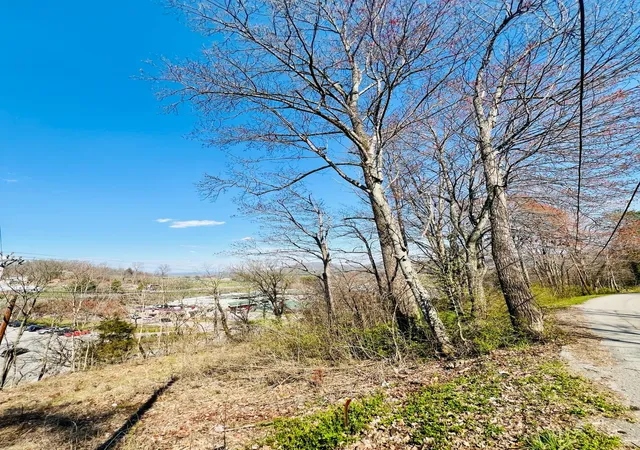 Land for sale at 0 Nell St, Tazewell, TN 37879 | MLS# 3527865