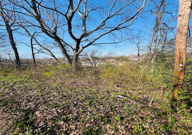 Photo 3 of Land for sale at 0 Nell St, Tazewell, TN 37879 | MLS# 3527865 | Listing updated on 2026-08-27