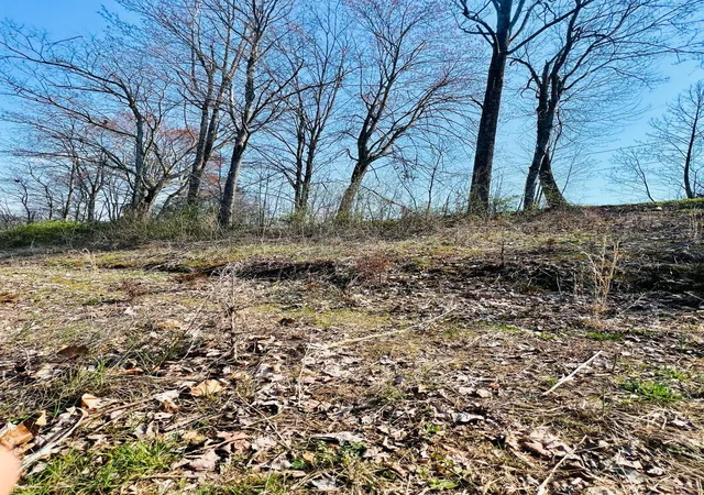 Photo 4 of Land for sale at 0 Nell St, Tazewell, TN 37879 | MLS# 3527865 | Listing updated on 2026-10-31