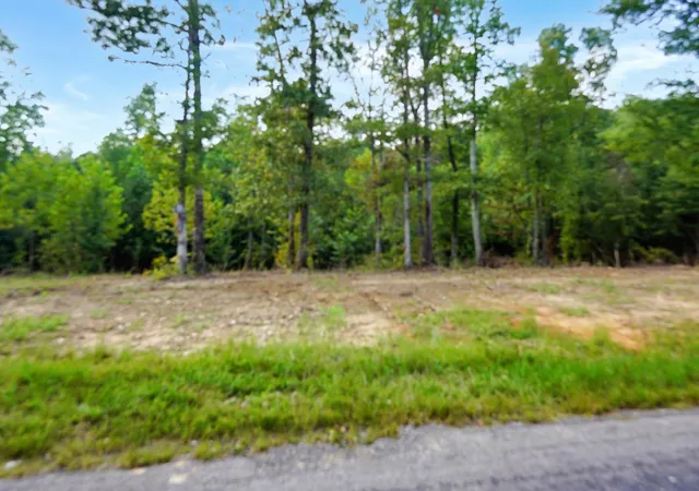 Photo 2 of Land for sale at 1 Freeman Fielder Rd, Stewart, TN 37175 | MLS# 3529539 | Listing updated on 2026-09-01