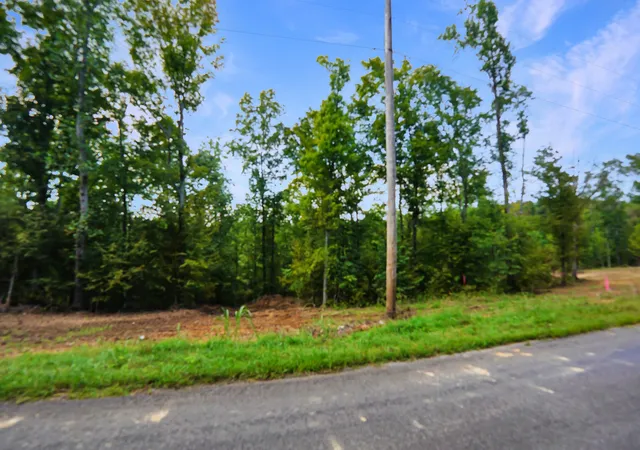 Photo 2 of Land for sale at 2 Freeman Fielder Rd, Stewart, TN 37175 | MLS# 3529541 | Listing updated on 2026-09-01