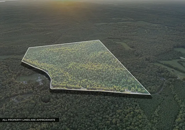 Photo 2 of Land for sale at 2 Freeman Fielder Rd, Stewart, TN 37175 | MLS# 3529541 | Listing updated on 2026-09-01