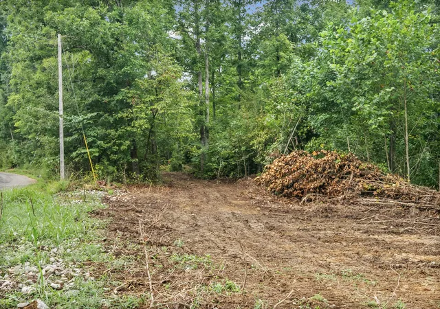 Photo 2 of Land for sale at 4 Selph Rd, Stewart, TN 37175 | MLS# 3530186 | Listing updated on 2026-09-01