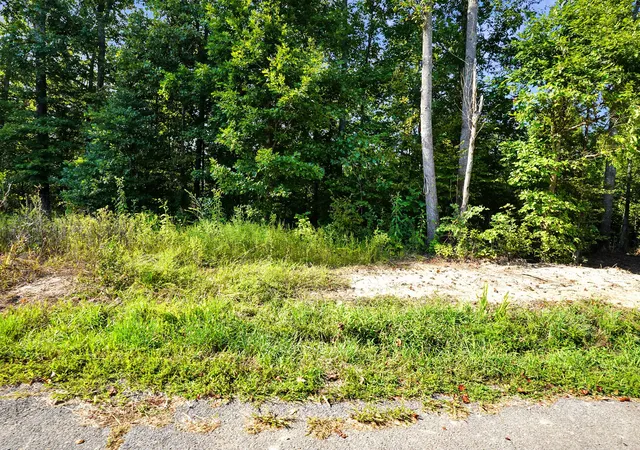 Photo 4 of Land for sale at 4 Selph Rd, Stewart, TN 37175 | MLS# 3530186 | Listing updated on 2026-09-01