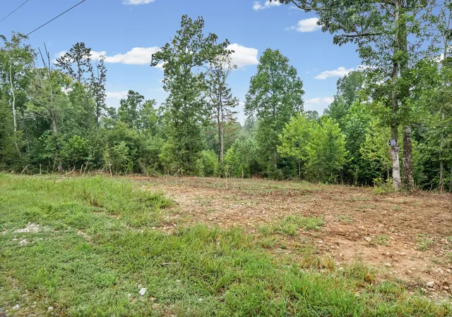 Photo 2 of Land for sale at 6 Selph Rd, Stewart, TN 37175 | MLS# 3530192 | Listing updated on 2026-09-01