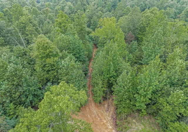 Photo 4 of Land for sale at 6 Selph Rd, Stewart, TN 37175 | MLS# 3530192 | Listing updated on 2026-09-01