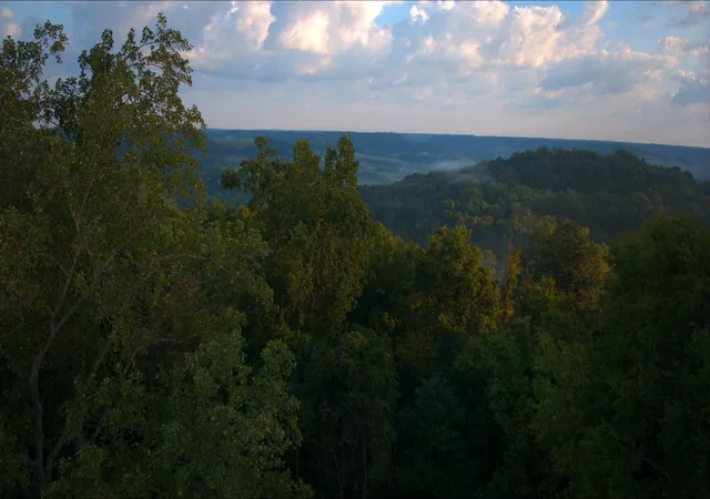 Photo 3 of Land for sale at 0 Pigg Schoolhouse Rd, Santa Fe, TN 38482 | MLS# 3529743 | Listing updated on 2026-09-03