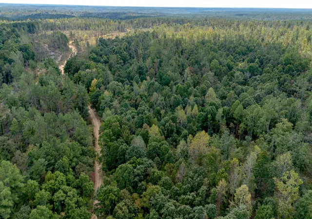 Photo 2 of Land for sale at 0 Salem Rd, Centerville, TN 37033 | MLS# 3527557 | Listing updated on 2026-10-02