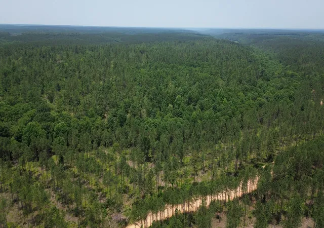Photo 4 of Land for sale at 0 Salem Rd, Centerville, TN 37033 | MLS# 3527557 | Listing updated on 2026-10-02