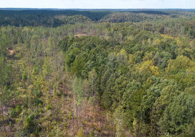 Photo 3 of Land for sale at 0 Salem Rd, Centerville, TN 37033 | MLS# 3527557 | Listing updated on 2026-10-02