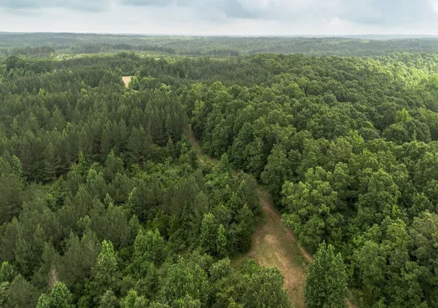 Land for sale at 115 Baudy James Road, Cedar Grove, TN 38321 | MLS# 3527563